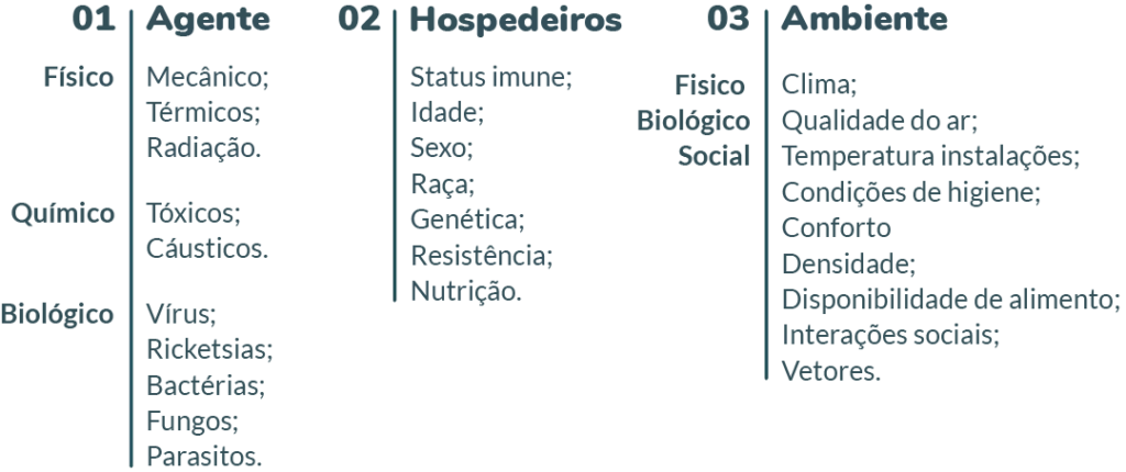 Esquema Tríade Epidemiológica
