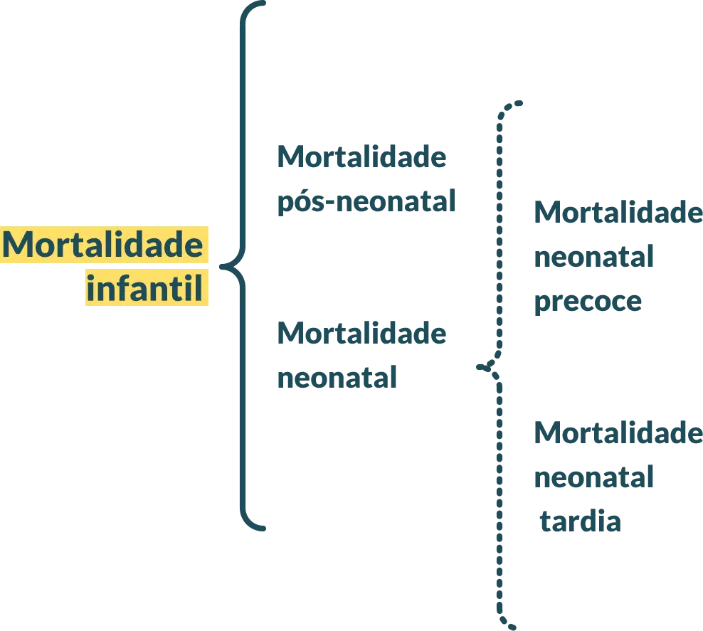 Esquema: Mortalidade Infantil